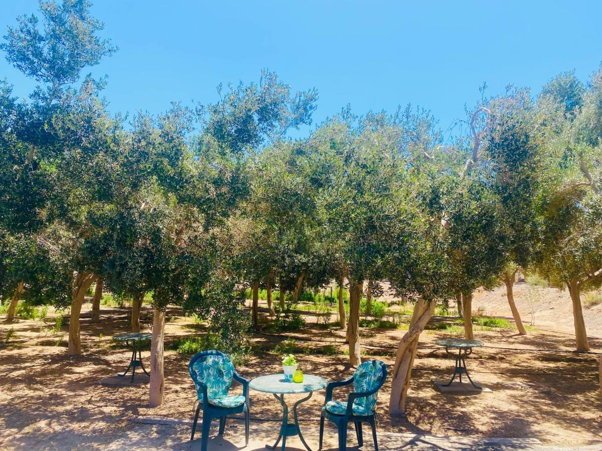 Olive Bungalow Gran Tarajal Eksteriør billede
